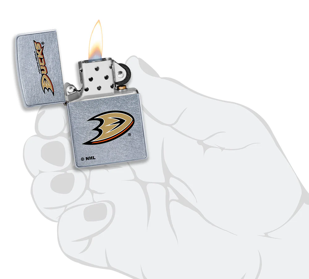 Anaheim Ducks® Logo Design - Image 4