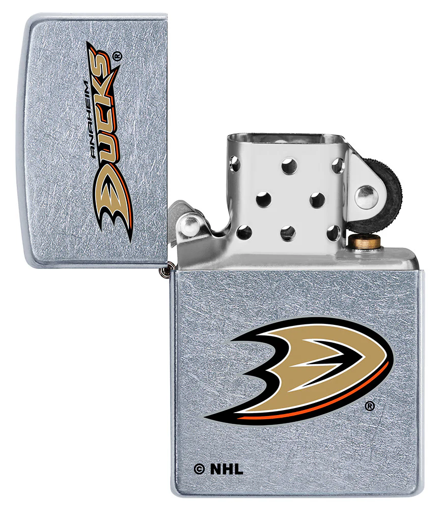 Anaheim Ducks® Logo Design - Image 7
