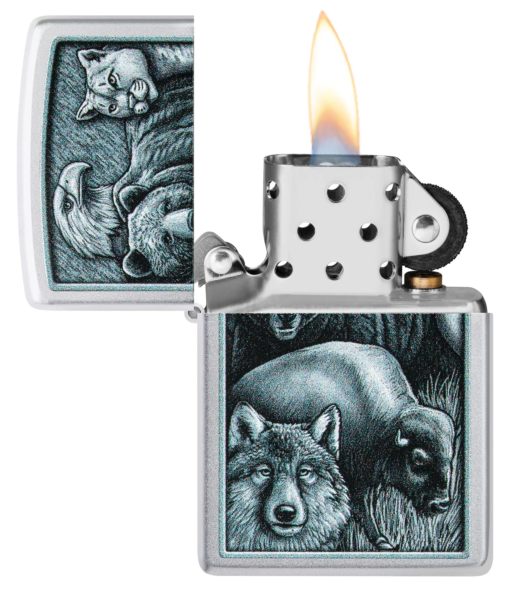 Animal Kingdom Design - Image 4