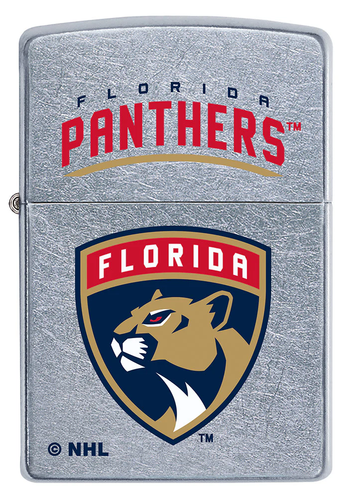 Florida Panthers® Logo Design - Image 6