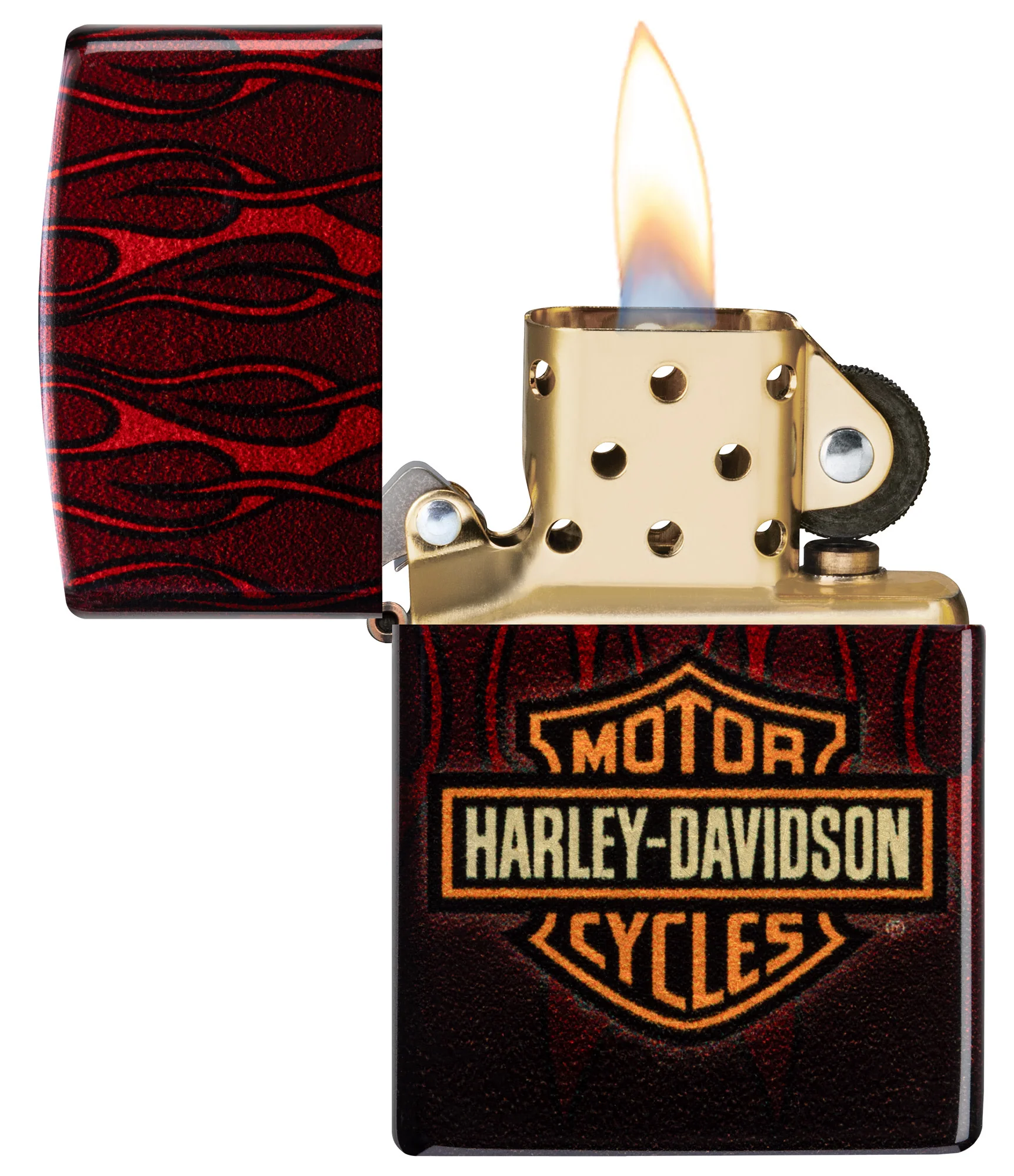 Harley-DavidsonĀ® Fusion Flames Design - Image 4