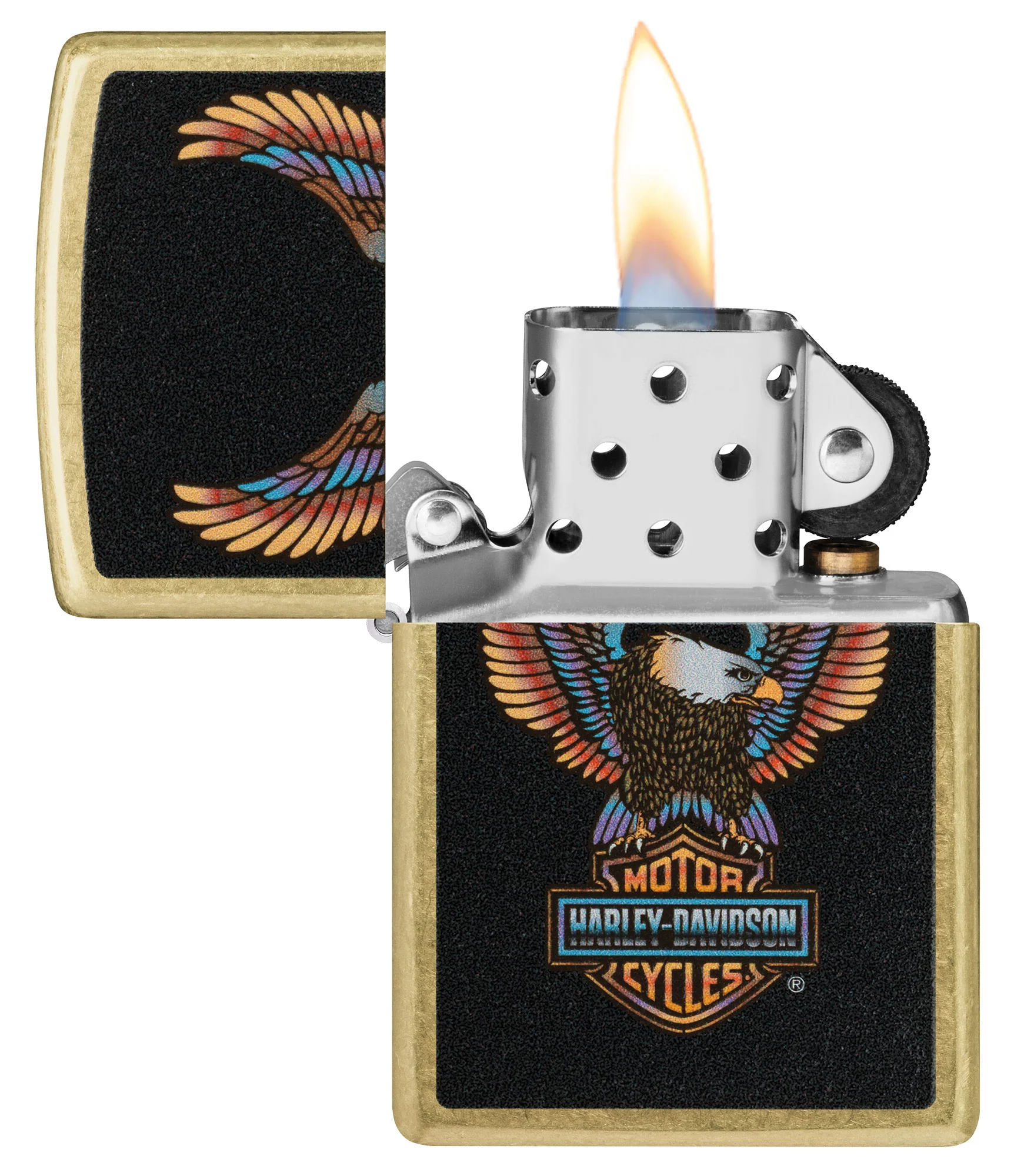 Harley-DavidsonĀ® Eagle Design - Image 4