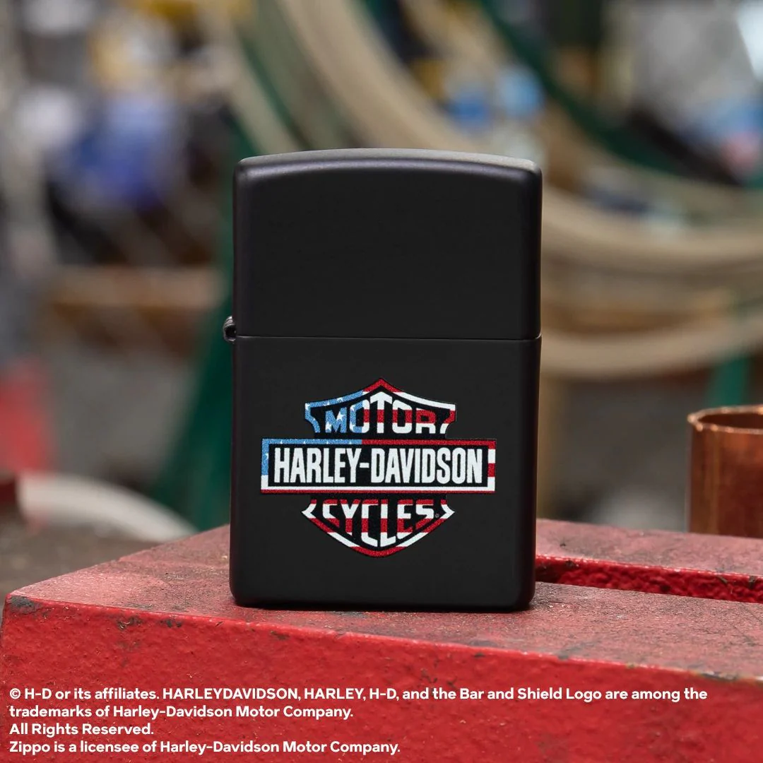 Harley-DavidsonĀ® Flag Logo Design - Image 2
