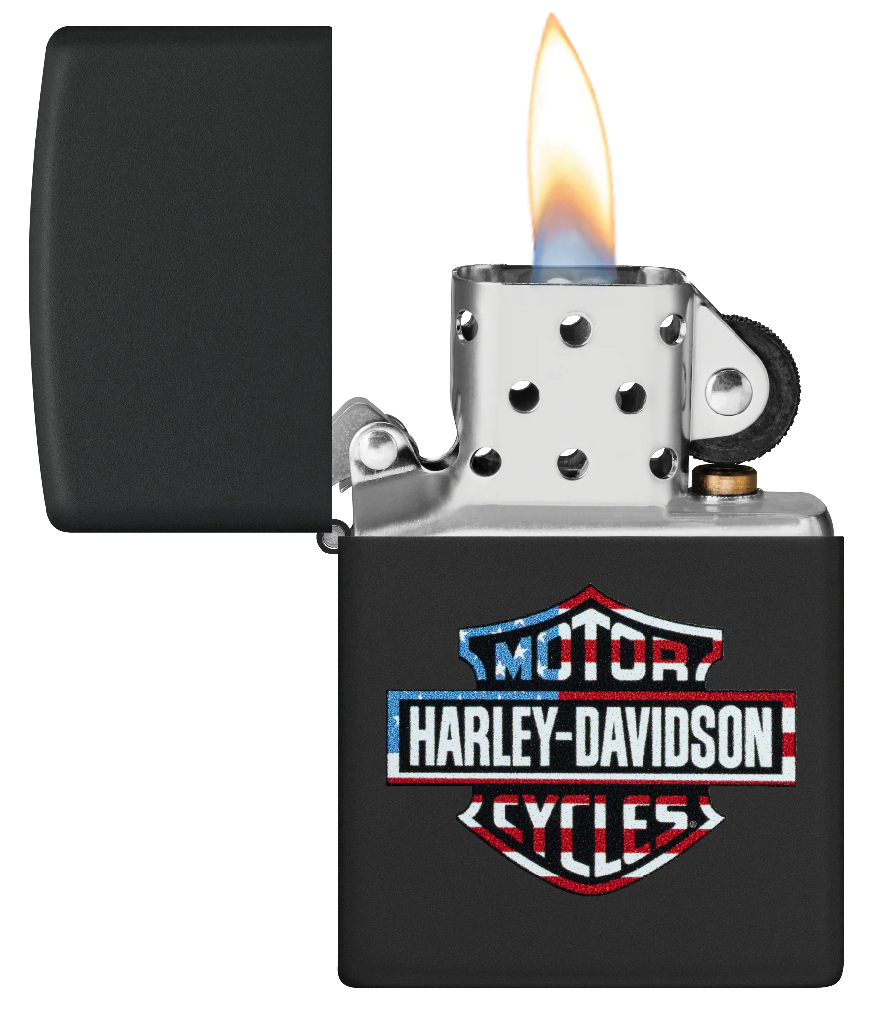 Harley-DavidsonĀ® Flag Logo Design - Image 4