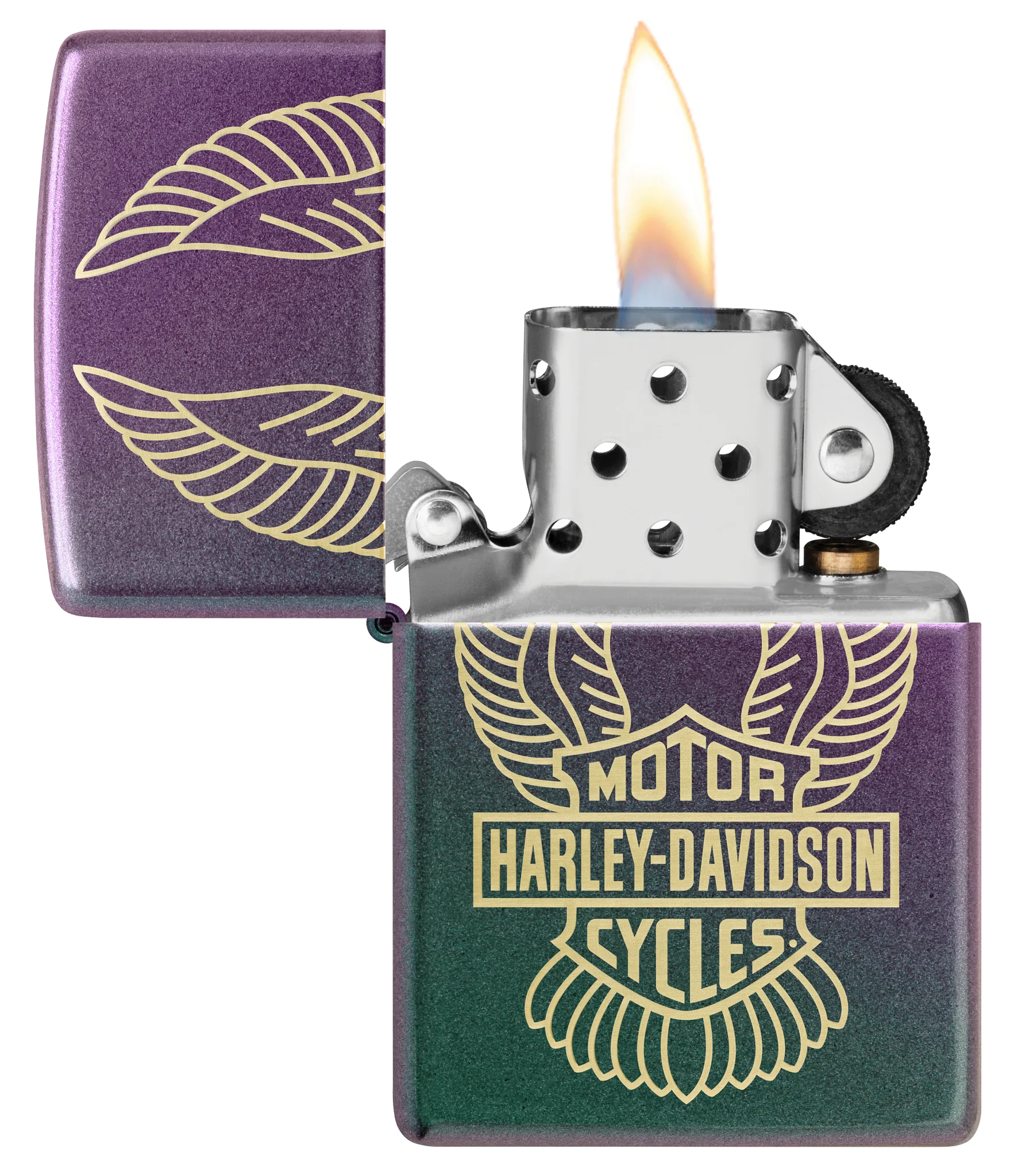 Harley-DavidsonĀ® Winged Logo Design - Image 4