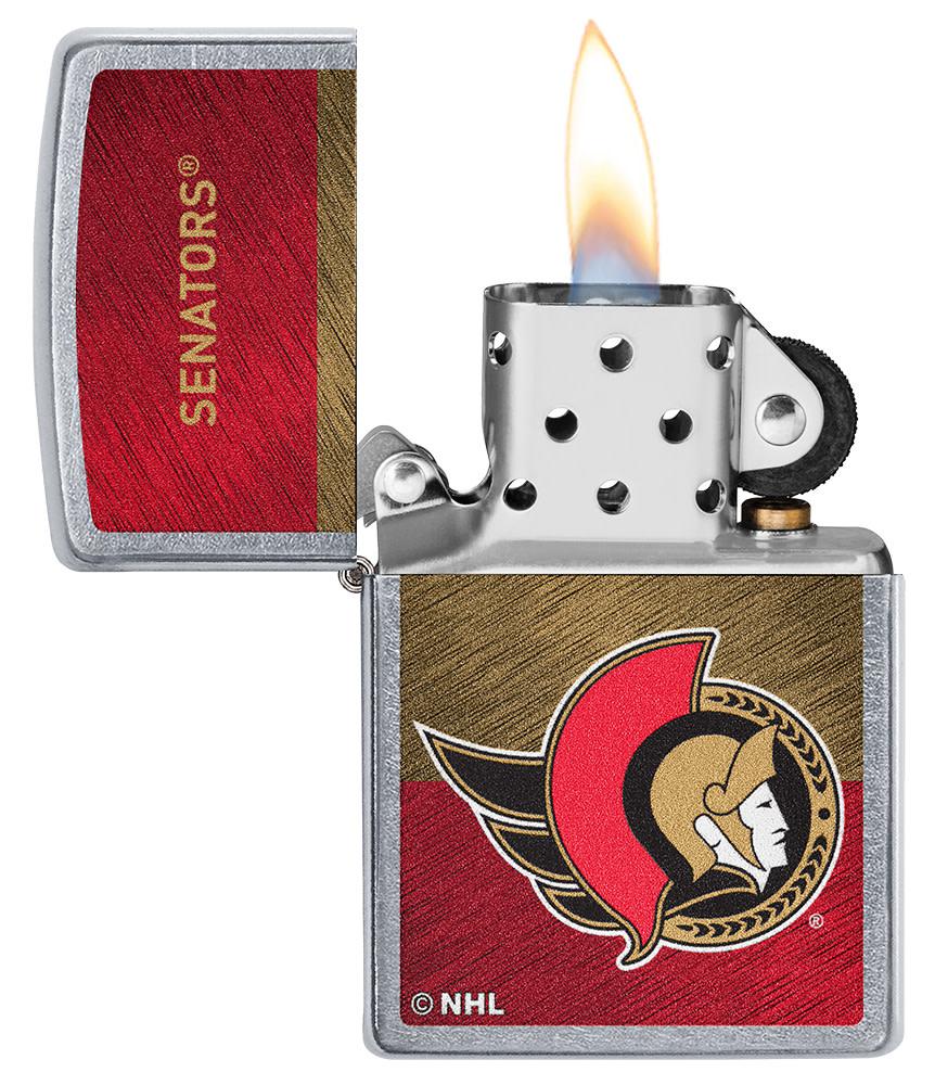 Ottawa Senators® Icon Design - Image 3