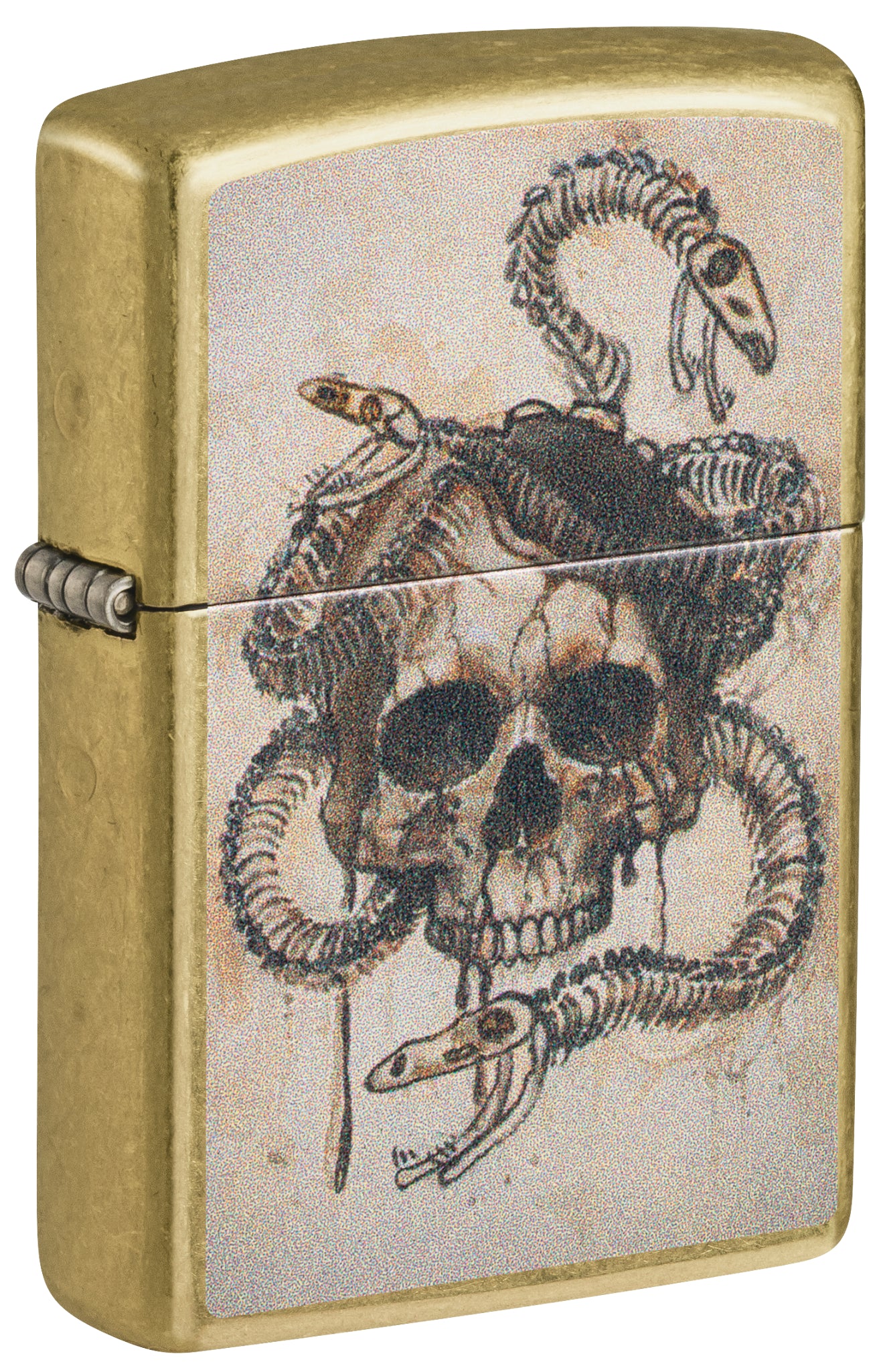 Skull and Snake Bones Design