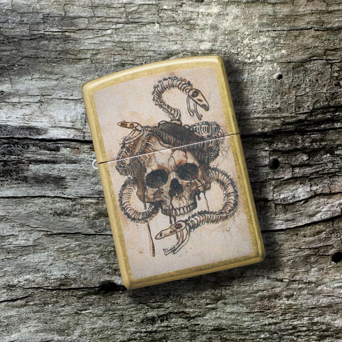 Skull and Snake Bones Design - Image 2