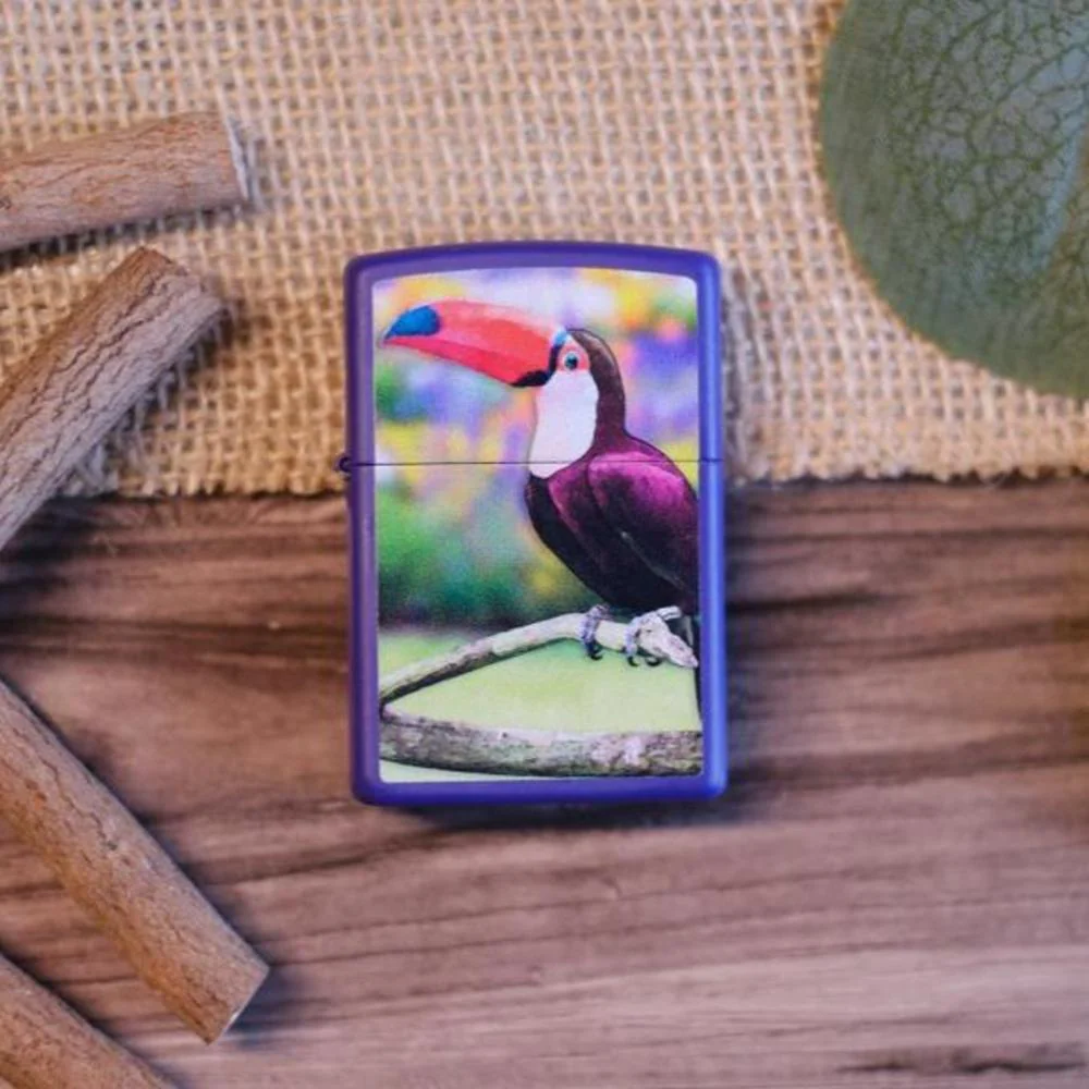 Toucan Design - Image 2