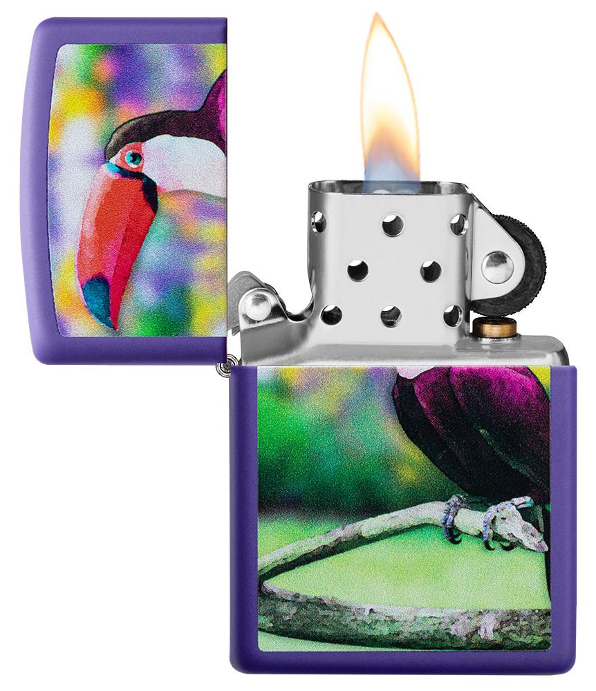 Toucan Design - Image 3