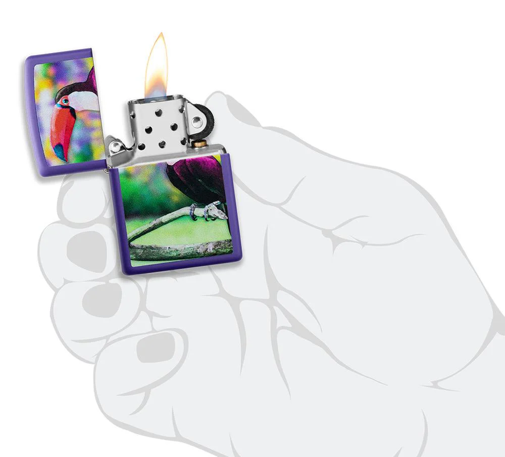 Toucan Design - Image 4