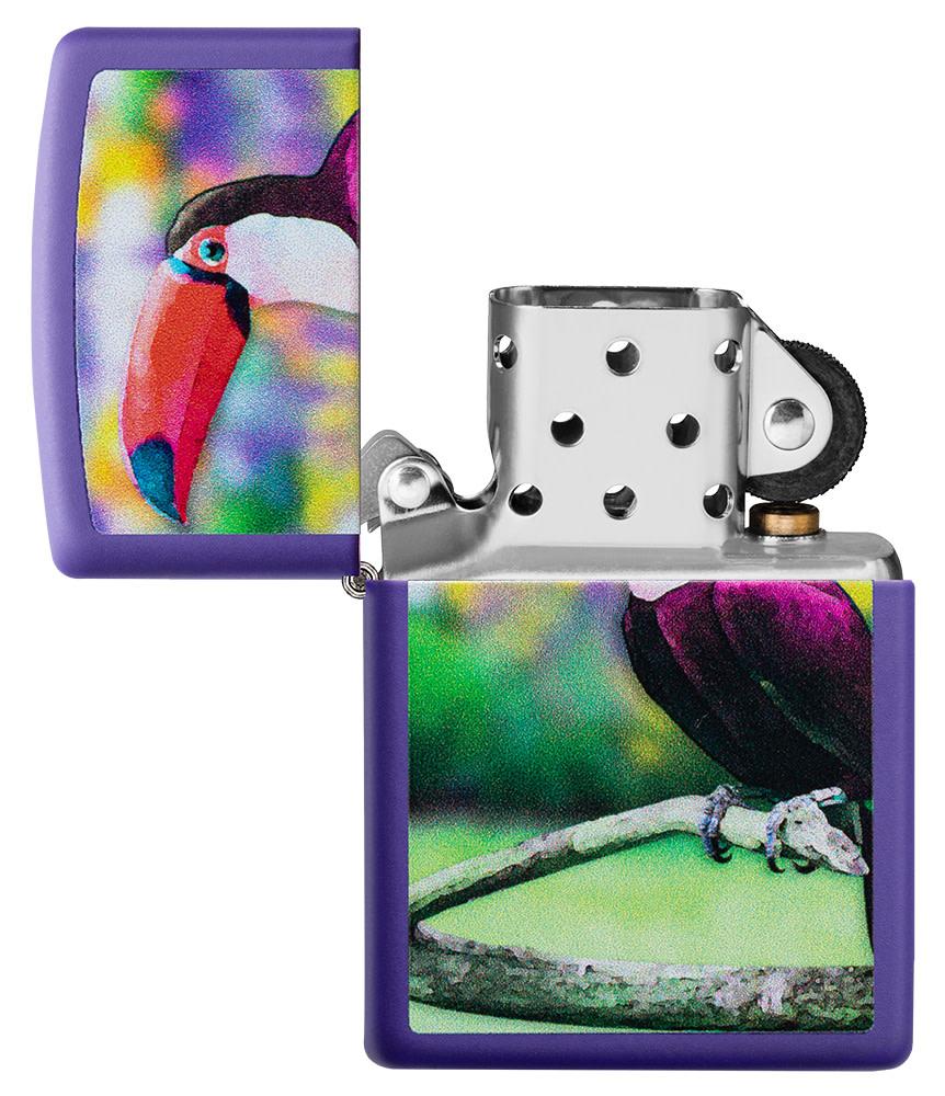 Toucan Design - Image 7